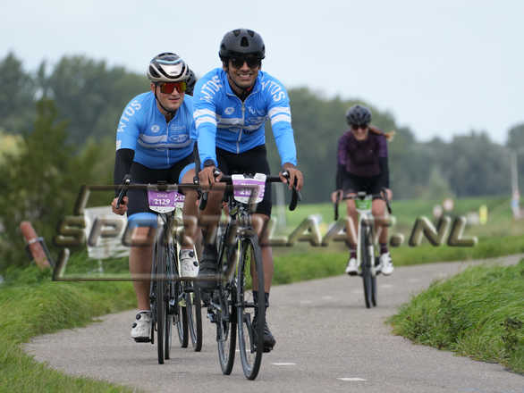 D6642.jpg